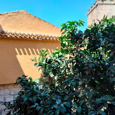 Estudio Castillo Denia Luaran gambar