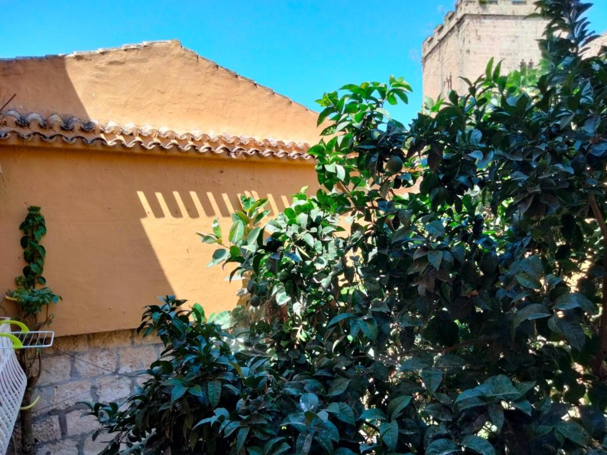 Estudio Castillo Denia Luaran gambar